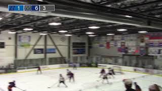 Boise State Hockey Club Live Stream [upl. by Teodor]