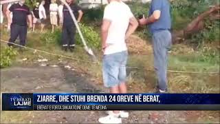 Zjarre dhe stuhi brenda 24 orëve në Berat erërat e forta shkaktojnë dëme të mëdha [upl. by Sharia468]