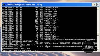 How to Remove the ntde1ectcom and autoruninf Virus and Trojan files by Britec [upl. by Nannahs517]