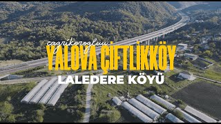 Yalova Çiftlikköy Laledere Köyü Drone Shot [upl. by Vincentia]