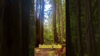 Belcarra Trails  Beautiful British Columbia [upl. by Sirtemed]