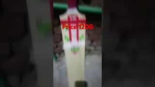 Gray Nicolls price 120 [upl. by Aleahs]