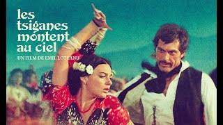 LES TSIGANES MONTENT AU CIEL  un film dEmil Loteanu  AU CINÃ‰MA 17 juillet  bandeannonce [upl. by Kimberly226]