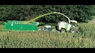 Maishäckseln LU Biggel mit Krone Big X1100 und 12Reihen Maisgebiss Claas Fendt Teil 8 2024 4K [upl. by Vladimir]