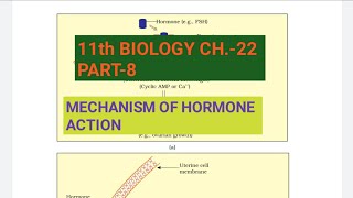 Class 11 BiologyCh22 Part8Mechanism of hormone actionStudy with Farru [upl. by Eniamat]