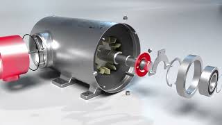 ABB’s BaldorReliance Food Safe Stainless Steel Motors [upl. by Devi697]