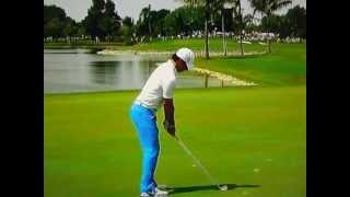 Rory McIlroy  Swing Analysis by Frank Nobilo March 8 2013 [upl. by Hach]