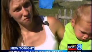 Mom Dog saved baby son from drowning [upl. by Leasa]