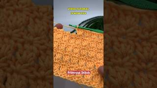 How to Crochet the Primrose Stitch  Easy Crochet Stitch Tutorial for Beginners [upl. by Yrot]