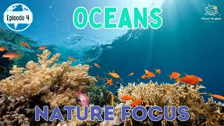 Oceans  Nature Focus for Kindergarten  EYFS  Episode 4 [upl. by Isiahi766]