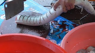 Vietnam street food  Cooking freshwater MORAY EEL for 30 People Family Dinner Meal in Vietnam [upl. by Larianna393]