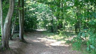 Bowdoin CrossCountry [upl. by Latsyk]