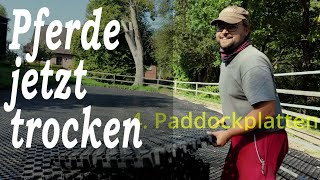 Pferde Paddock Unterbau kommt neu Offenstall [upl. by Jarib]