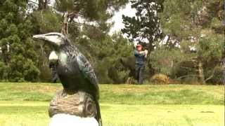 New Zealand Senior PGA Championship 2012 Review [upl. by Aramit]