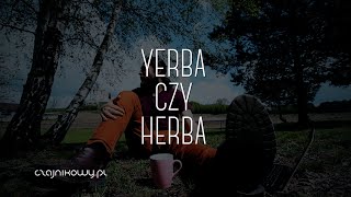 Czy yerba mate odwadnia Najsłodsza herbata mieszanie parzeń herbaty ych Czajnikowypl [upl. by Docia348]