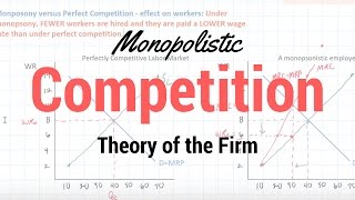 Monopolistic Competition [upl. by Rakia]