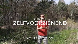 Zelfvoorzienend leven met een voedselbos [upl. by Cristy]