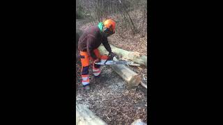 Stihl Ms 462 c fast cuts [upl. by Ahsayn]