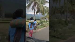 Road to puliyancholai 🌈⛰️🌳🌴 puliyancholai kollihills trichy travel [upl. by Ledoux]