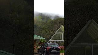 Wild Valparai  Ibex Resorts valaprai Watch full video for more details [upl. by Acirederf]