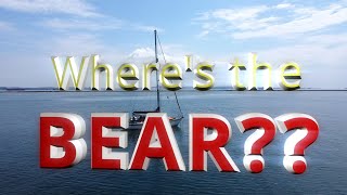 Wheres the bear A quick update… [upl. by Plossl]