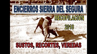 SUSTOS Encierros RECOPILACIÓN 2018 Sierra del Segura [upl. by Htebilil]