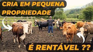 CRIA em PEQUENA PROPRIEDADE é RENTÁVEL [upl. by Eenitsed]