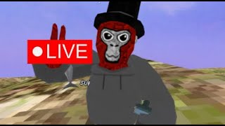 gorilla tag liveminigames [upl. by Volpe740]