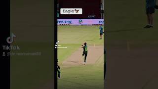 Eagle 🦅Shaheen Afrdi shaheenafridi cricket pakistan india worldcup t20worldcup babarazam [upl. by Ariayek309]