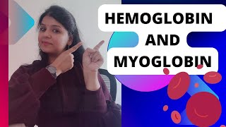 Hemoglobin and Myoglobin protein functioning neet csirnet bsc hemoglobin myoglobin [upl. by Nellac]