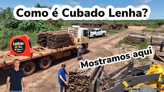 Como Cubicar Lenha Método Esterio MST Veja Destino da Lenha no Mato Grosso [upl. by Angid]