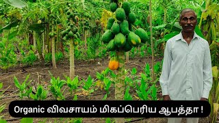 Organic விவசாயம் மிகப்பெரிய ஆபத்தா   PV Naturals [upl. by Nilad]