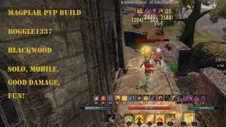 ESO  Magicka Templar  PVP BUILD  Blackwood [upl. by Darby]