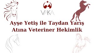 Veteriner Hekim Ayşe Yetiş Taydan Yarış Atına Veteriner Hekimlik [upl. by Eliza]