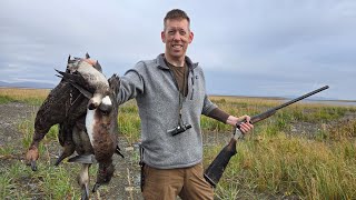 4 Days Hunting Ducks Geese amp Fishing Nome Alaska [upl. by Walworth]