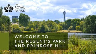 Discover The Regent’s Park amp Primrose Hill one of London’s Royal Parks [upl. by Casar]