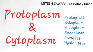 Protoplasm and Cytoplasm  Define Protoplast Ectoplasm Mesoplasm Endoplasm  Hindi amp English [upl. by Ambrose780]