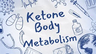 ketone body metabolismMADE EASY [upl. by Aligna932]