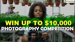 Top 10 Photography Contests for Professional and Amateur Photographers [upl. by Gothart]