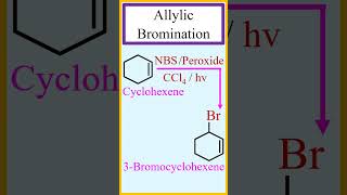 Allylic bromination by WohlZiegler reaction chemistry [upl. by Skees32]