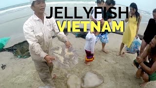 Eating Jellyfish in Vietnam [upl. by Oicaroh]