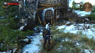 Witcher 3 Combat Tutorial Wraiths [upl. by Accem]