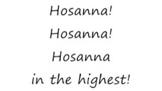 Hosanna  Vineyard lyrics [upl. by Gnilyarg465]