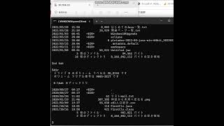 コマンドプロンプトで「DIR」コマンドを実行してみました。画面ではもともと「prompt」コマンドで表示を「＄」に変更しています。そしてPCに刺したDドライブの中身を表示しています。 [upl. by Arobed393]