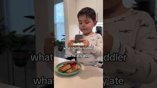 Last 10 min got cut off but go to my TikTok ✨whatmytoddlereats toddlermeals [upl. by Mccallion609]