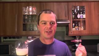 DAB Dortmunder Export By Dortmunder Actien Brauerei  German Beer Review [upl. by Aleusnoc]