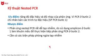 Kỹ thuật nested PCR [upl. by Cartie]