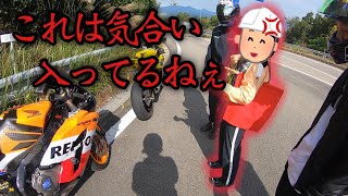 【モトブログ】94 高速料金所を突破する人たち 前編 CBR1000RR ZX14R YZFR1 YZFR6 [upl. by Agiaf]