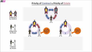 Who is liable to whom Privity of Contract and Privity of Estate [upl. by Eiramadnil724]