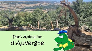 Parc Animalier dAuvergne 2023 [upl. by Ahsenad182]